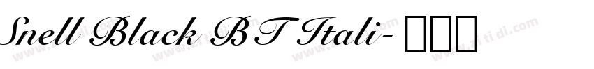 Snell Black BT Itali字体转换